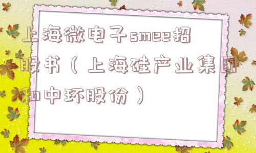 上海微电子smee招股书（上海硅产业集团和中环股份）