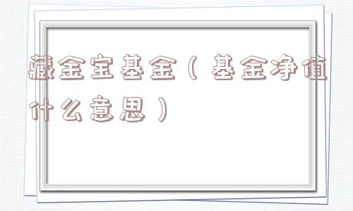 藏金宝基金（基金净值什么意思）