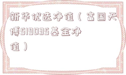 新华优选净值（富国天博519035基金净值）