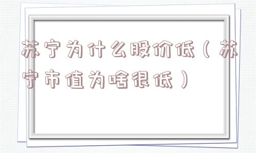 苏宁为什么股价低（苏宁市值为啥很低）