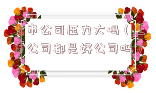 上市公司压力大吗(上市公司都是好公司吗) 上市公司压力大吗(上市公司都是好公司吗)