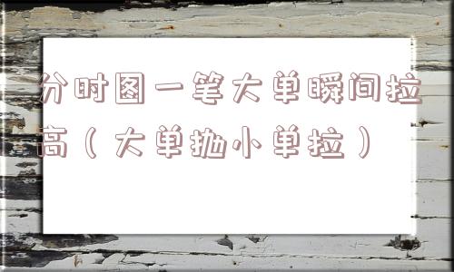 分时图一笔大单瞬间拉高(大单抛小单拉) 分时图一笔大单瞬间拉高(大单抛小单拉)