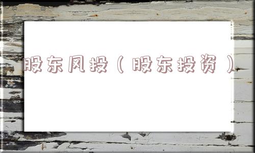 股东风投(股东投资) 股东风投(股东投资)