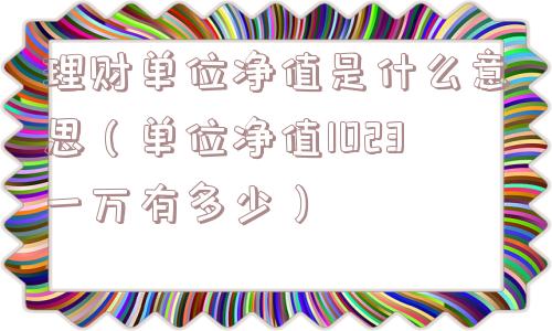 理财单位净值是什么意思(单位净值1023一万有多少) 理财单位净值是什么意思(单位净值1023一万有多少)