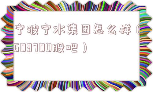 宁波宁水集团怎么样（603700股吧）