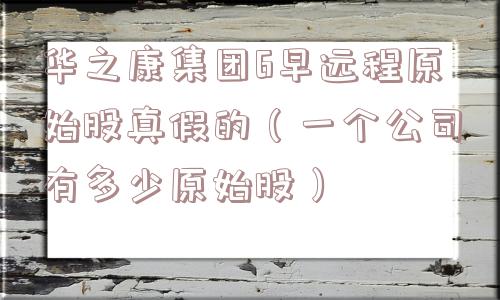 华之康集团6早远程原始股真假的(一个公司有多少原始股) 华之康集团6早远程原始股真假的(一个公司有多少原始股)