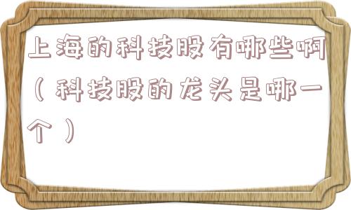 上海的科技股有哪些啊(科技股的龙头是哪一个) 上海的科技股有哪些啊(科技股的龙头是哪一个)