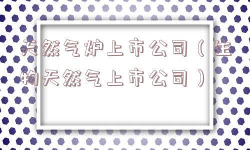 天然气炉上市公司（生物天然气上市公司）