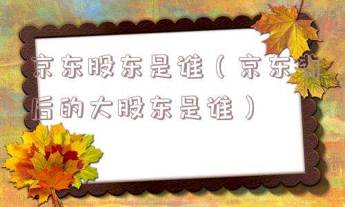 京东股东是谁(京东背后的大股东是谁) 京东股东是谁(京东背后的大股东是谁)