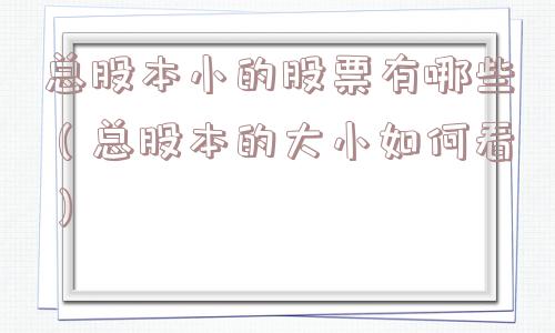总股本小的股票有哪些(总股本的大小如何看) 总股本小的股票有哪些(总股本的大小如何看)