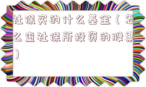 社保买的什么基金(怎么查社保所投资的股票) 社保买的什么基金(怎么查社保所投资的股票)