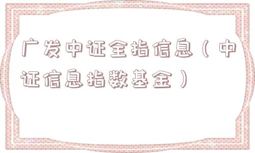 广发中证全指信息(中证信息指数基金) 广发中证全指信息(中证信息指数基金)