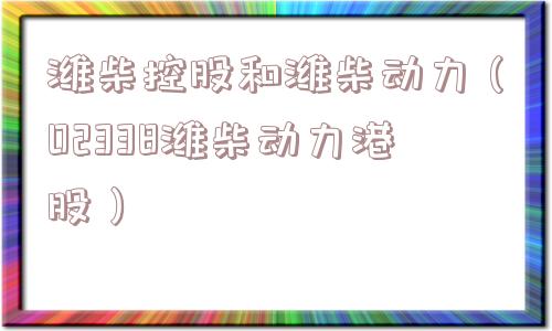 潍柴控股和潍柴动力（02338潍柴动力港股）