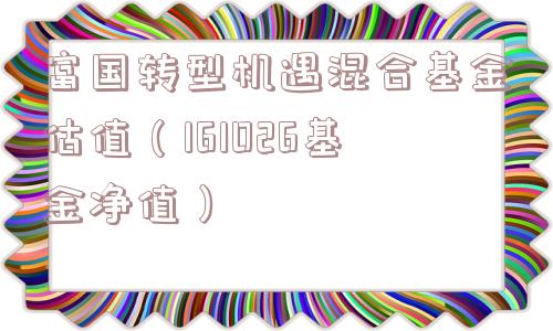 富国转型机遇混合基金估值（161026基金净值）