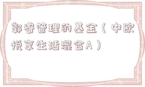 郭睿管理的基金（中欧悦享生活混合A）
