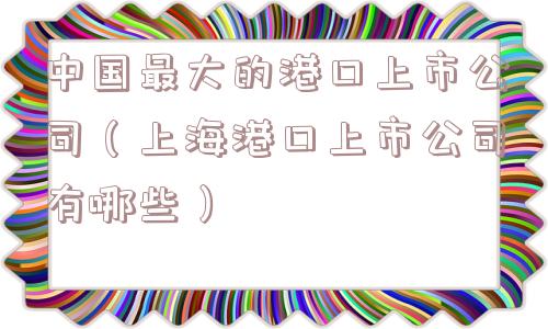 中国最大的港口上市公司（上海港口上市公司有哪些）