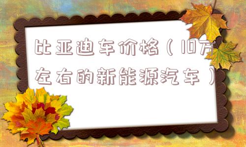 比亚迪车价格（10万左右的新能源汽车）