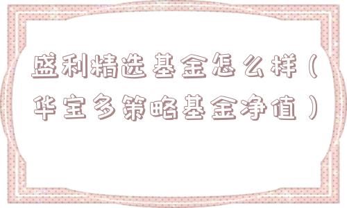 盛利精选基金怎么样（华宝多策略基金净值）