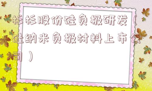 杉杉股份硅负极研发（硅纳米负极材料上市公司）