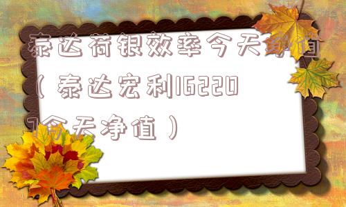 泰达荷银效率今天净值（泰达宏利162207今天净值）