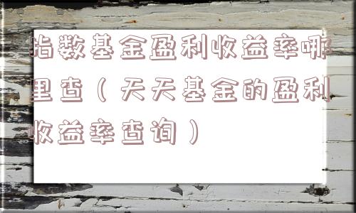 指数基金盈利收益率哪里查（天天基金的盈利收益率查询）