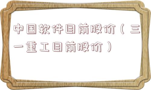 中国软件目前股价（三一重工目前股价）