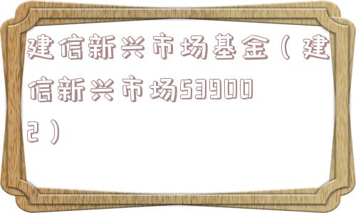 建信新兴市场基金（建信新兴市场539002）