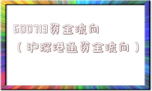 600713资金流向（沪深港通资金流向）