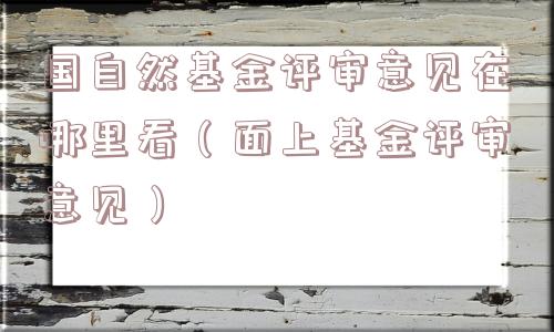 国自然基金评审意见在哪里看（面上基金评审意见）