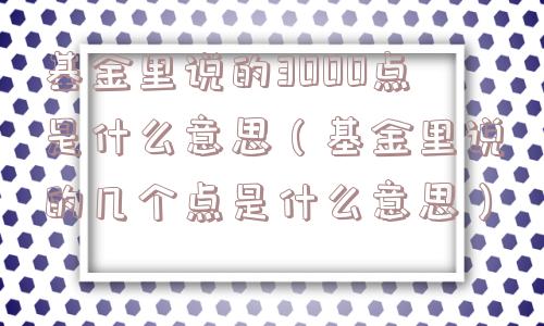 基金里说的3000点是什么意思（基金里说的几个点是什么意思）