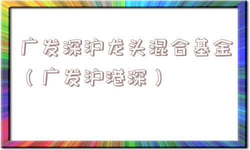 广发深沪龙头混合基金（广发沪港深）