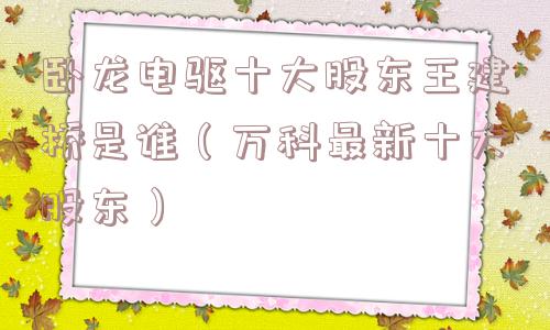 卧龙电驱十大股东王建桥是谁（万科最新十大股东）