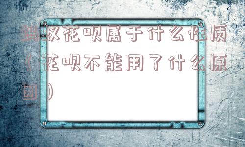 蚂蚁花呗属于什么性质（花呗不能用了什么原因）