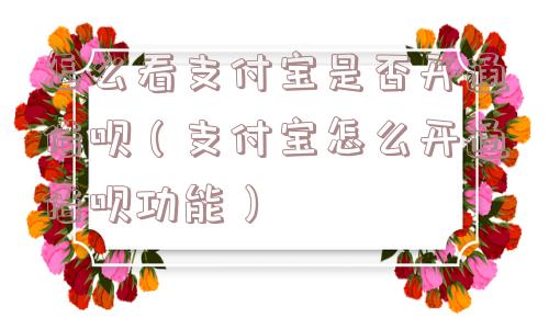 怎么看支付宝是否开通借呗(支付宝怎么开通借呗功能) 怎么看支付宝是否开通借呗(支付宝怎么开通借呗功能)