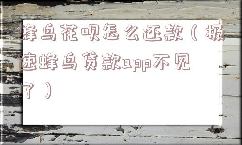 蜂鸟花呗怎么还款（极速蜂鸟贷款app不见了）