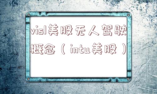 visl美股无人驾驶概念（intu美股）