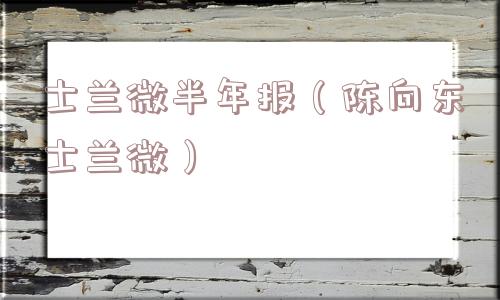 士兰微半年报（陈向东士兰微）
