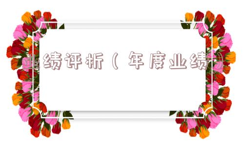 业绩评析(年度业绩) 业绩评析(年度业绩)