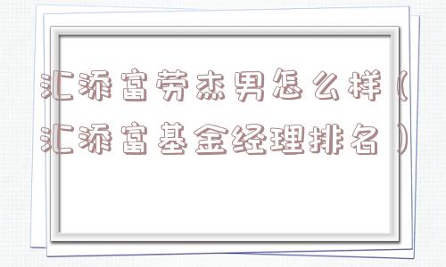 汇添富劳杰男怎么样(汇添富基金经理排名) 汇添富劳杰男怎么样(汇添富基金经理排名)