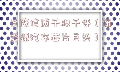 长鹰信质千股千评(新能源汽车芯片巨头) 长鹰信质千股千评(新能源汽车芯片巨头)