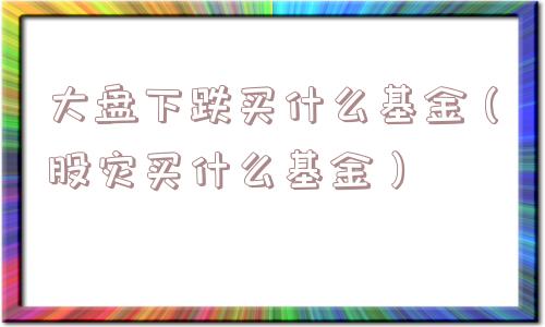 大盘下跌买什么基金（股灾买什么基金）