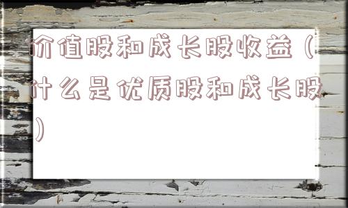 价值股和成长股收益（什么是优质股和成长股）