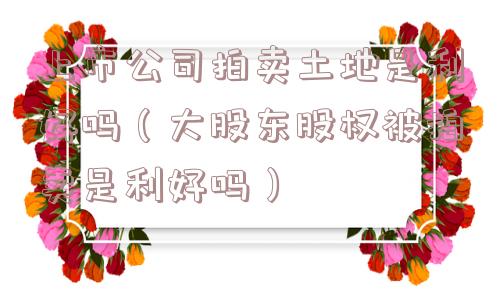 上市公司拍卖土地是利好吗(大股东股权被拍卖是利好吗) 上市公司拍卖土地是利好吗(大股东股权被拍卖是利好吗)