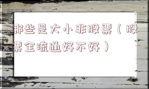 哪些是大小非股票(股票全流通好不好) 哪些是大小非股票(股票全流通好不好)