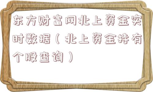 东方财富网北上资金实时数据（北上资金持有个股查询）