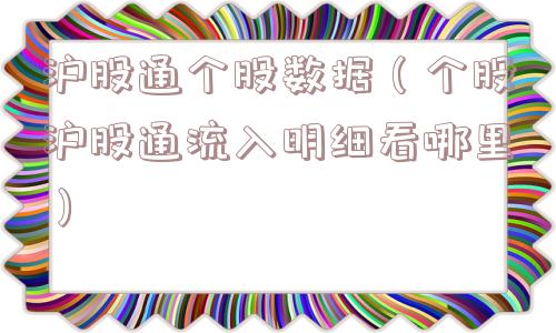 沪股通个股数据(个股沪股通流入明细看哪里) 沪股通个股数据(个股沪股通流入明细看哪里)