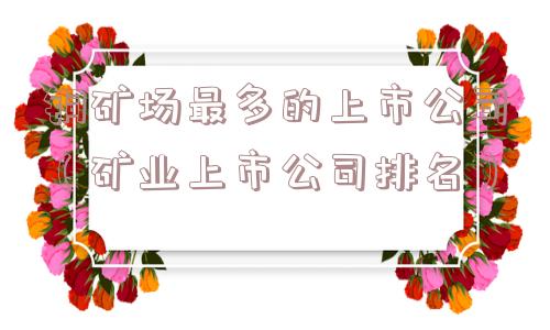 铜矿场最多的上市公司(矿业上市公司排名) 铜矿场最多的上市公司(矿业上市公司排名)