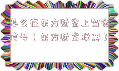 怎么在东方财富上留微信号（东方财富股票）