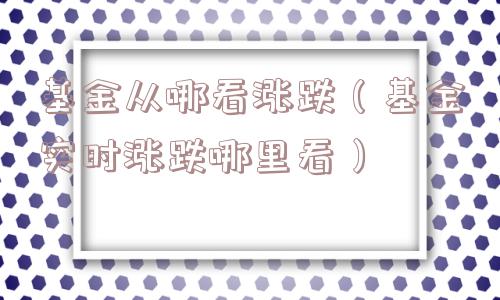 基金从哪看涨跌（基金实时涨跌哪里看）