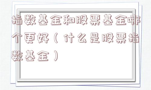 指数基金和股票基金哪个更好（什么是股票指数基金）